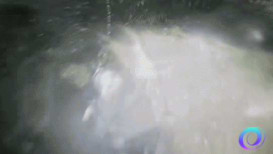 OO加速器
