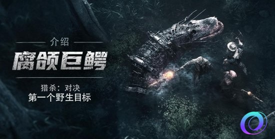 OO加速器